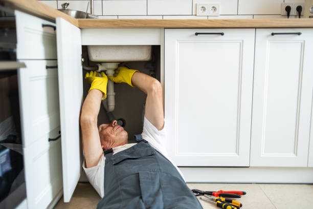 Best Boilers & Radiators  in Northglenn, CO